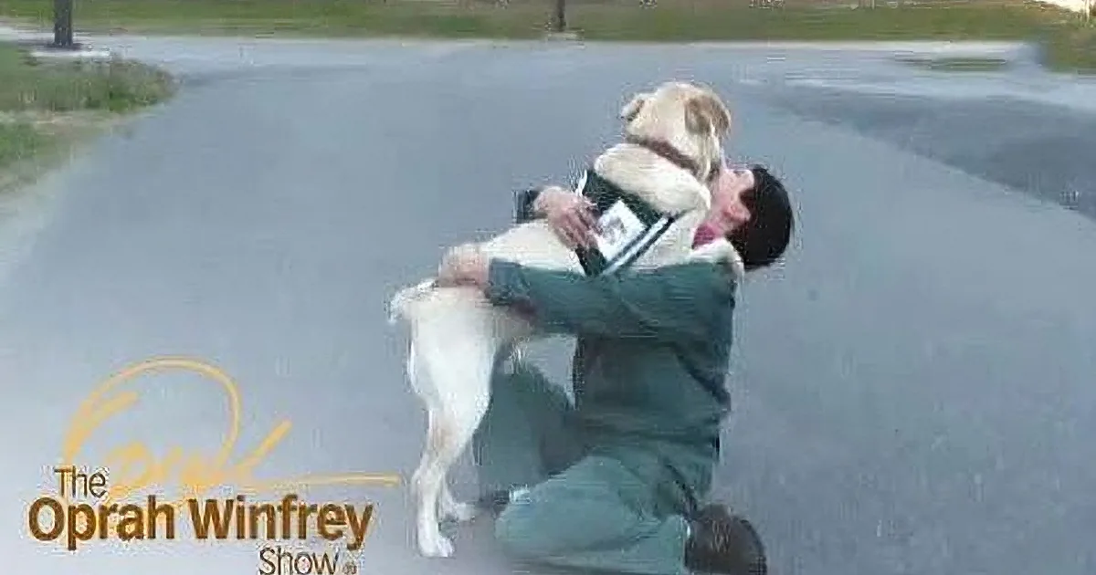 A man in a green jacket is hugging a large dog on a paved road.