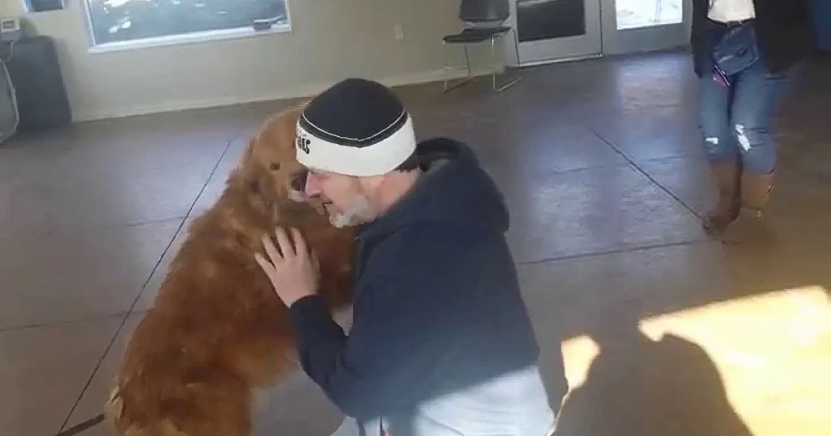 A man in a black shirt and white headband hugs a large brown dog in a tiled room.
