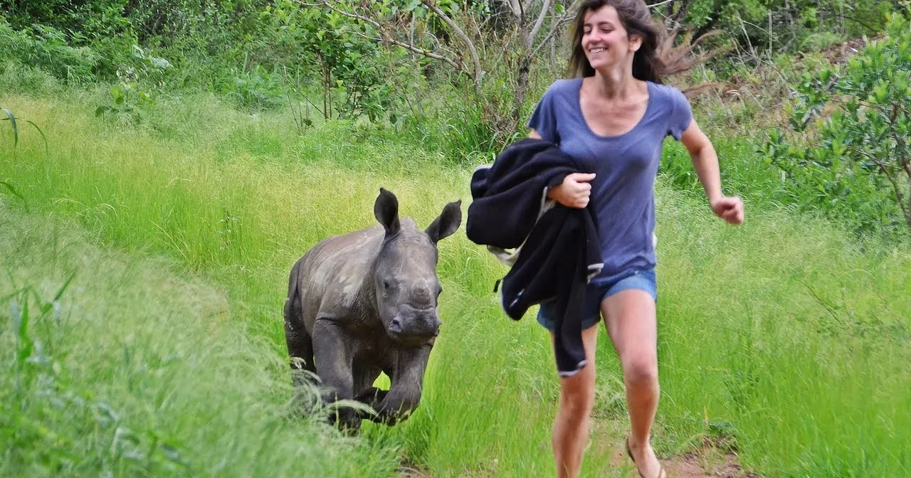 Rescuers Find Abandoned Baby Rhino. When They Realized Her Situation, They Were Amazed