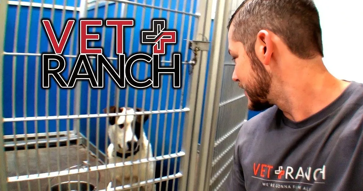 A man in a "Vet Ranch" shirt is observing a dog in a cage at a veterinary facility.