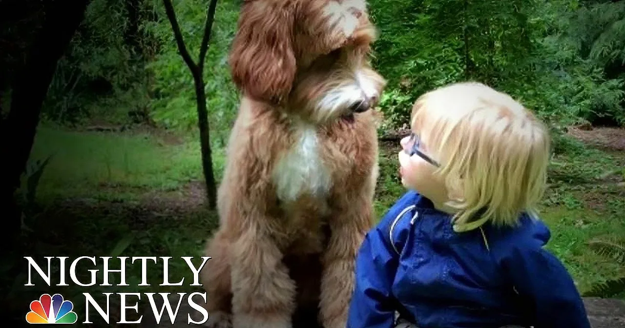 A young child in a blue jacket interacts with a large, fluffy dog in a lush, green outdoor setting.