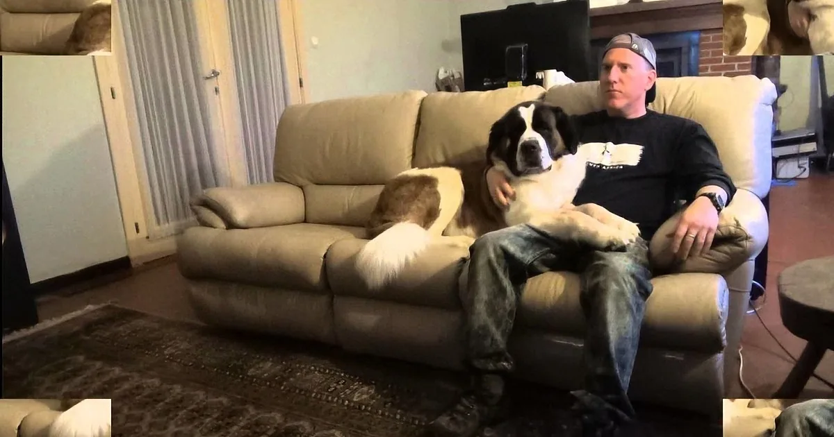 A man sits on a couch with a large dog, both appearing relaxed in a cozy living room setting.