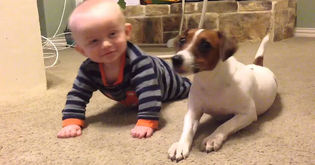 A baby in a striped shirt and a dog lying on a carpeted floor, both looking at something off-camera.