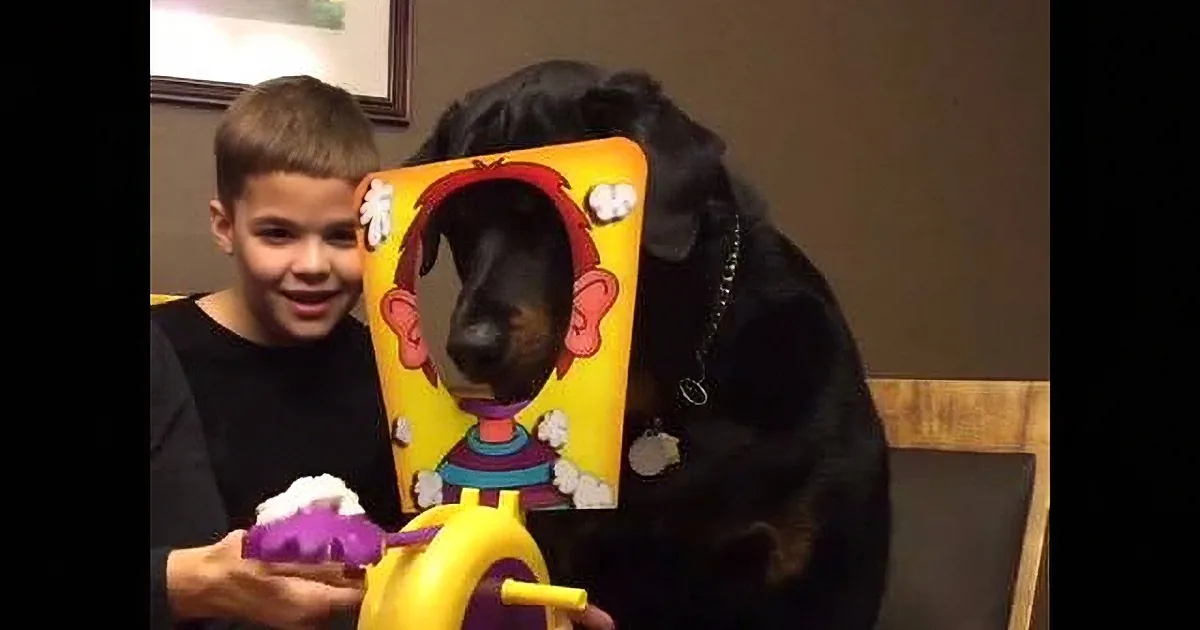 A boy smiles while holding a purple toy, with a dog partially obscuring a colorful poster behind him.