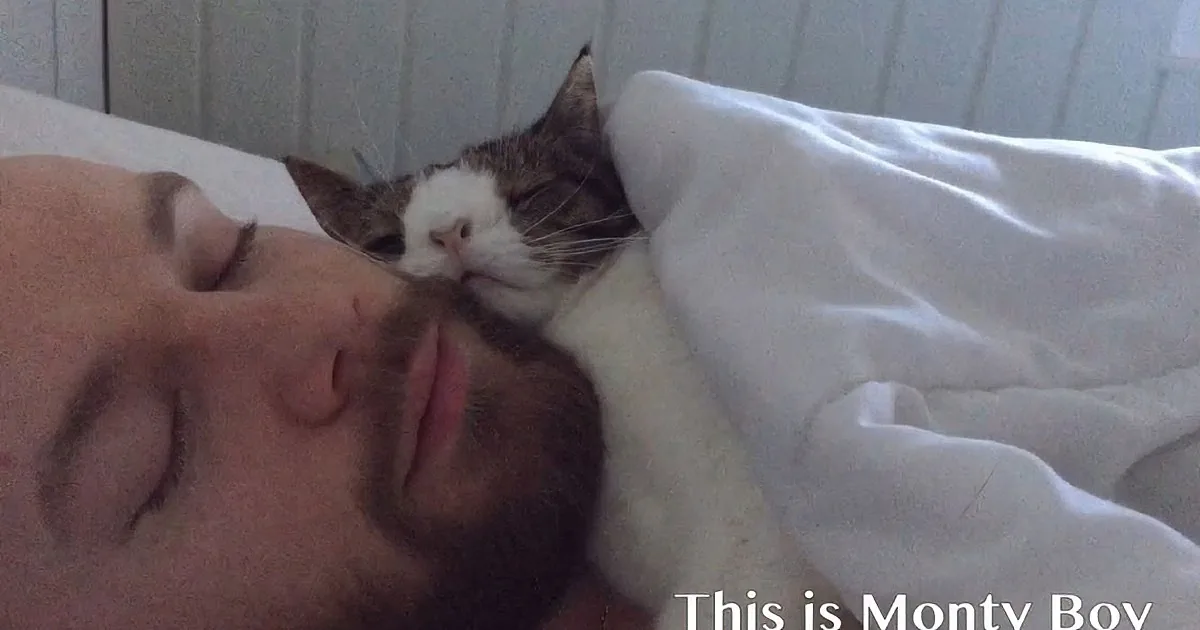A man sleeps with a cat nestled between his face and the blanket.