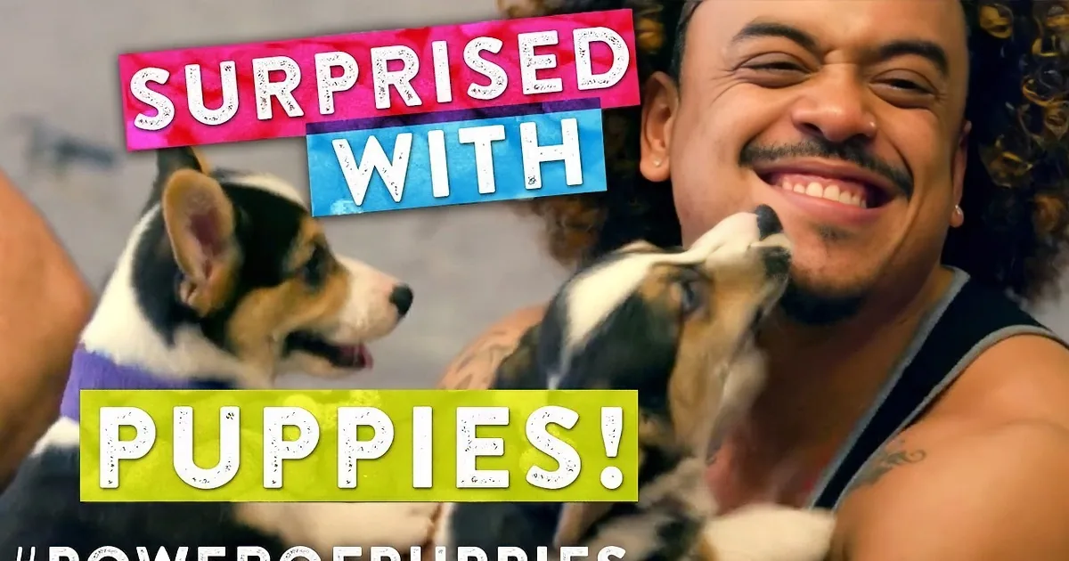 A man smiles while holding two playful puppies, with text overlay reading "Surprised with Puppies!" and hashtag...