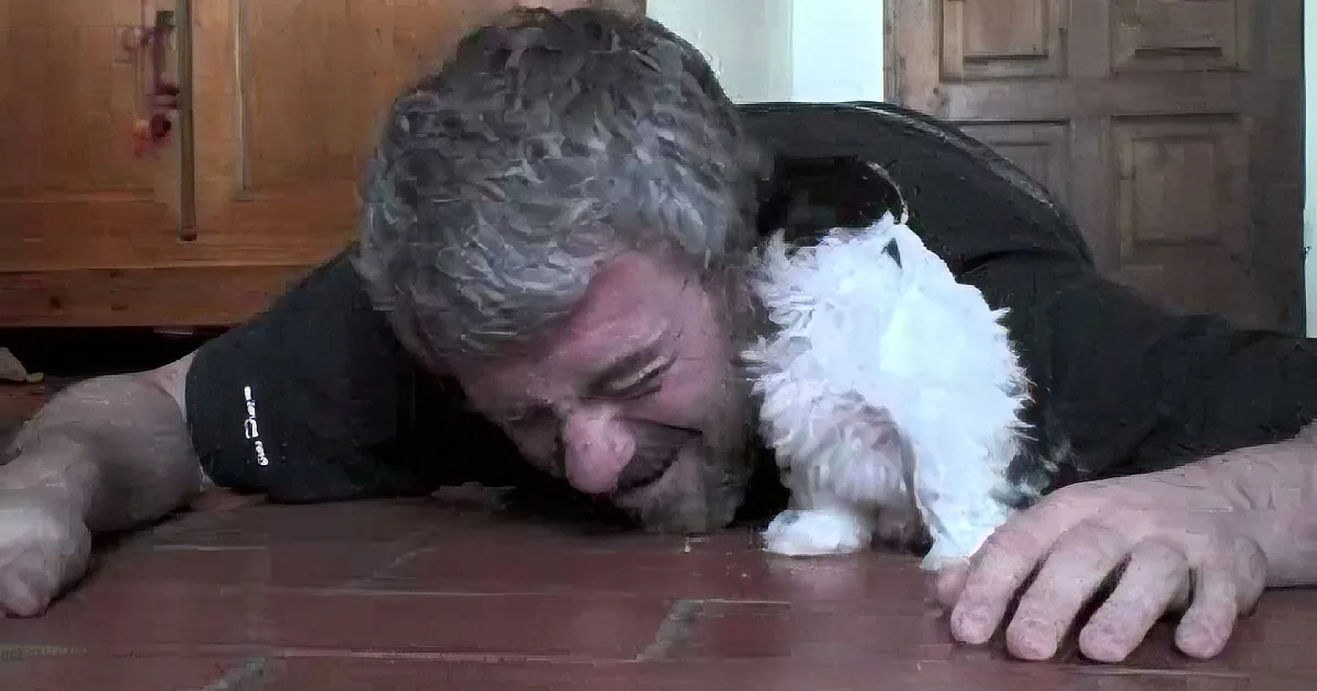 This Tiny Puppy Didn''t Know He Was on Camera, and His Next Move Will Melt Your Heart
