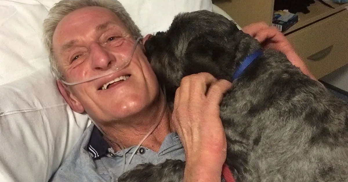 Dog Honored for Bringing His Human out of a Coma