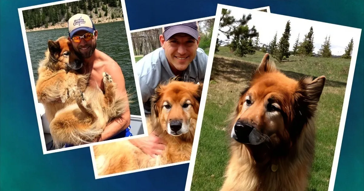 The Doctors'' Tribute to Dr. Travis'' Deceased Dog Nala Brings Him and the Audience to Tears
