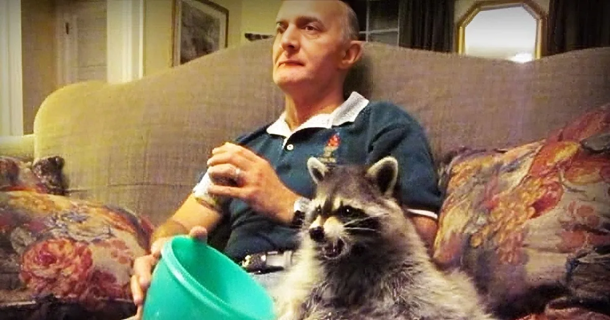 A man sits on a couch holding a green bowl, with a raccoon perched on his lap, both looking up.