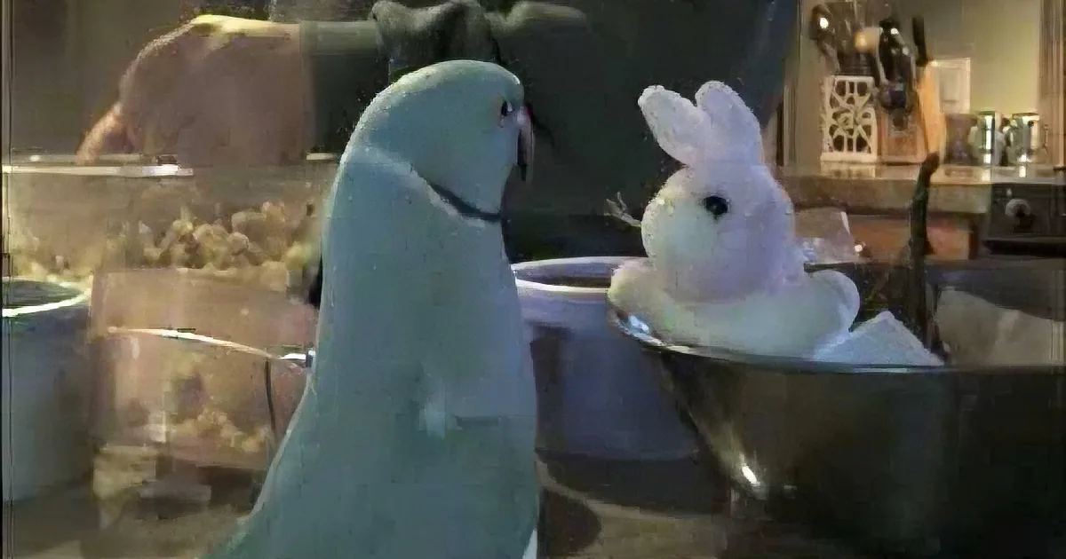 A blue puppet and a white bunny plushie are interacting in a kitchen setting.