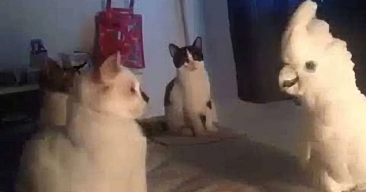 A fluffy white alpaca stands next to a cat and a dog, all looking up at a red bag hanging on a wall.