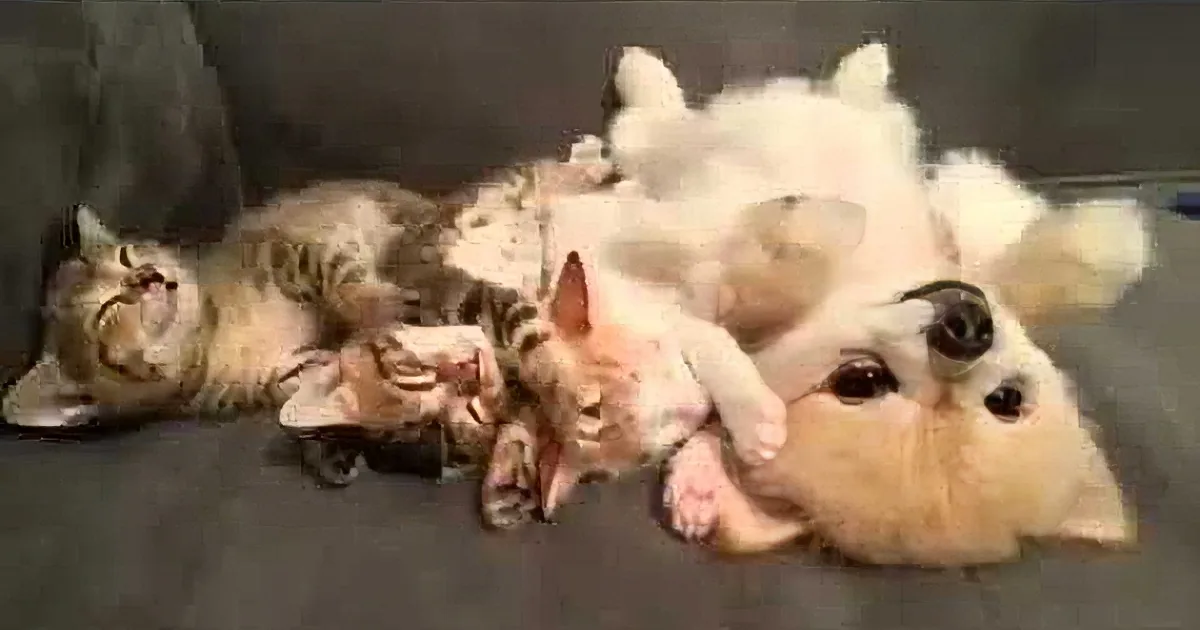 This Considerate Puppy Doesn''t Want to Wake the Kittens, so Watch What She Does Instead!