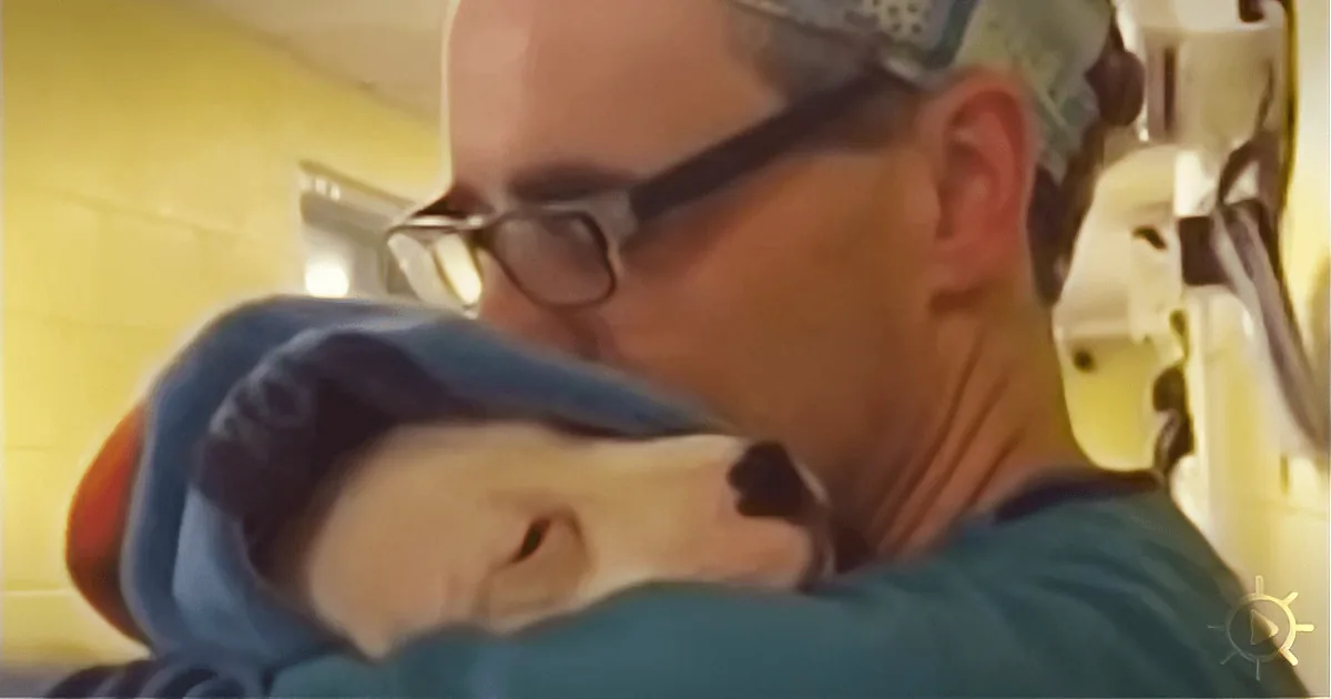 ''''It''s Just the Medication Talking.'' Surgical Assistant Comforts Confused Patient''