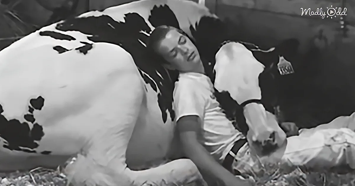 A person in a white shirt lies on the ground, appearing to be in distress or unconscious.