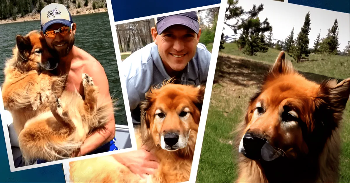 A man and his fluffy brown dog are enjoying outdoor activities by a lake and in a grassy field.