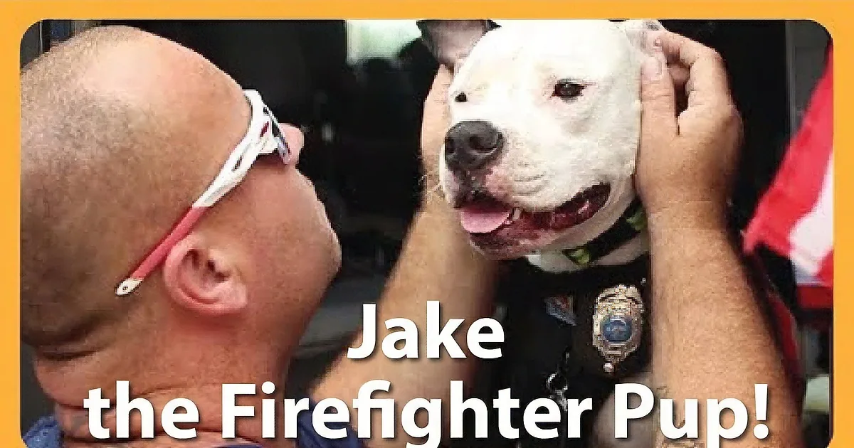 A Firefighter Saves a Pit Bull From a Fire. Look at Him 5 Months Later...