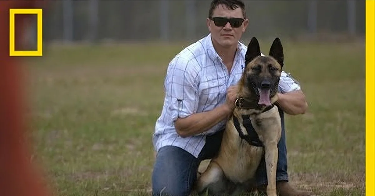 A man in sunglasses kneels with a German Shepherd dog in a grassy field.