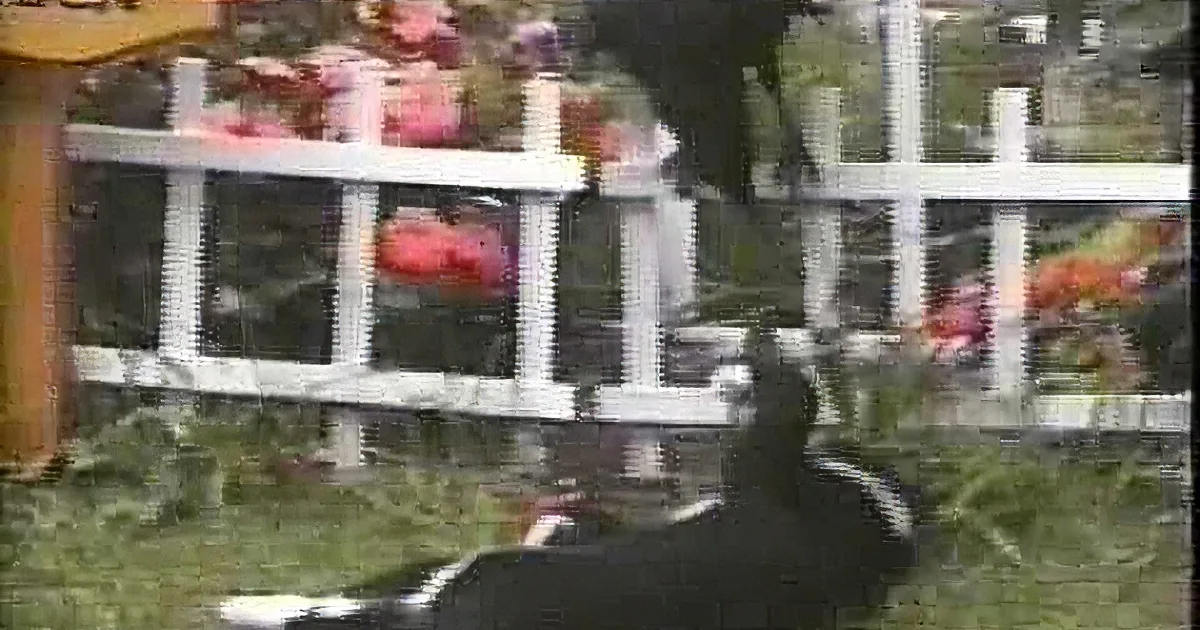A person in black pants and a dark top stands on a white picket fence, with a black and white dog lying on the grass in...