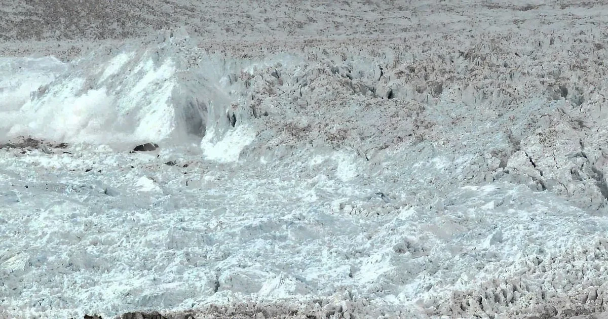 He Waited 17 Days in the Freezing Cold to Get This Video. Wow