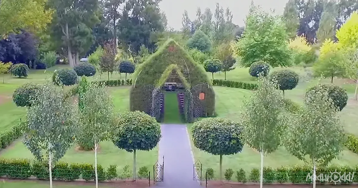A Man Builds a Magical, Living Green Church. You Won''t Believe How It Looks Inside!