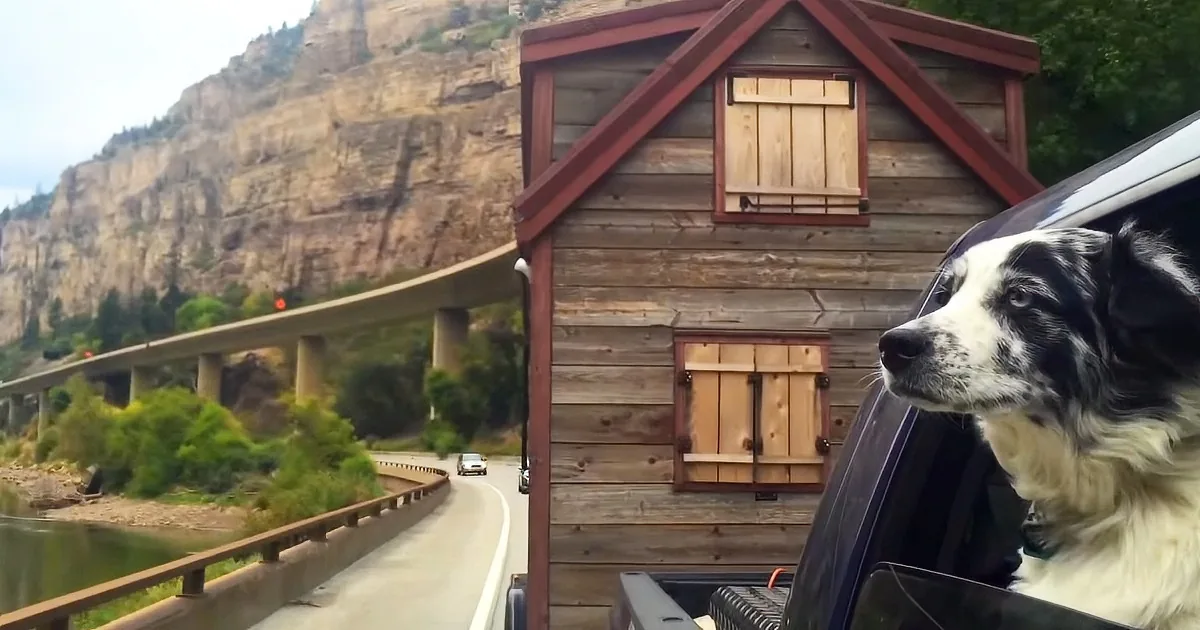 A black and white dog leans out of a car window, gazing at a rustic wooden cabin with a mountain backdrop.