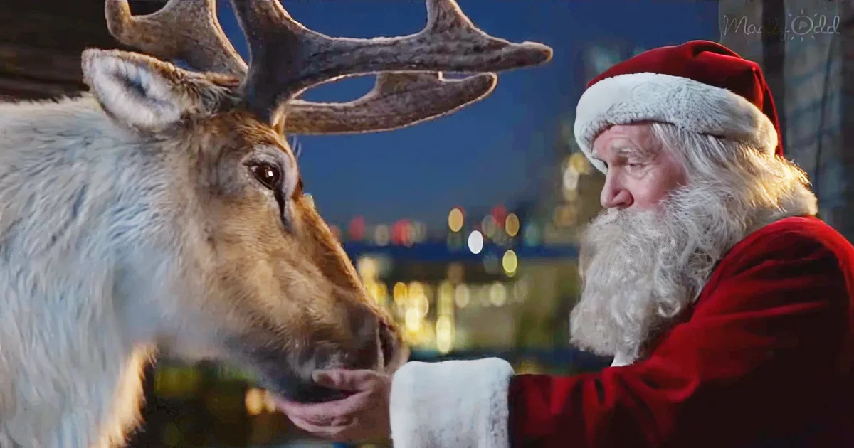 Santa Claus feeds a reindeer in a festive setting with city lights in the background.