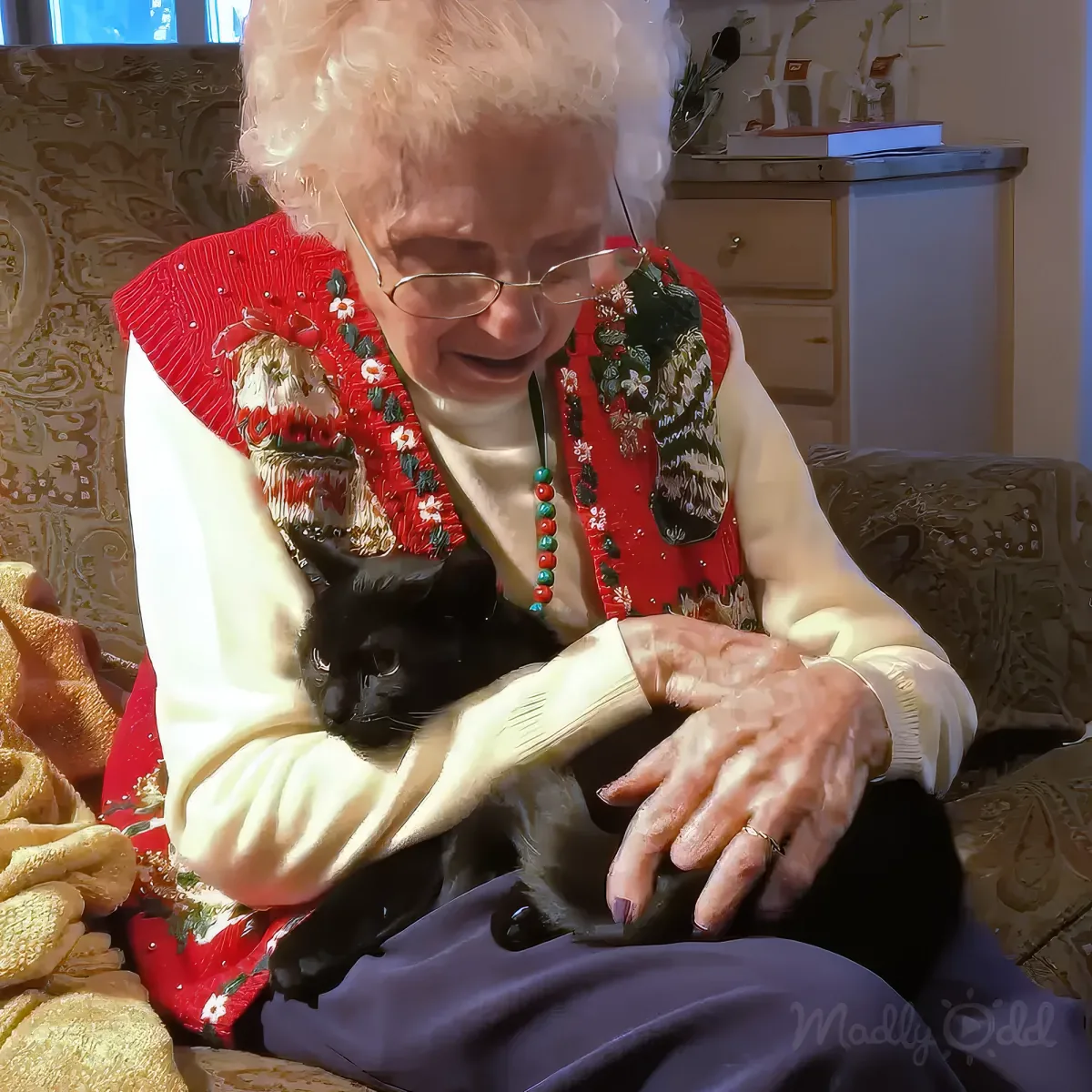 A person in a Santa outfit hugs a black cat in a Christmas-themed box.