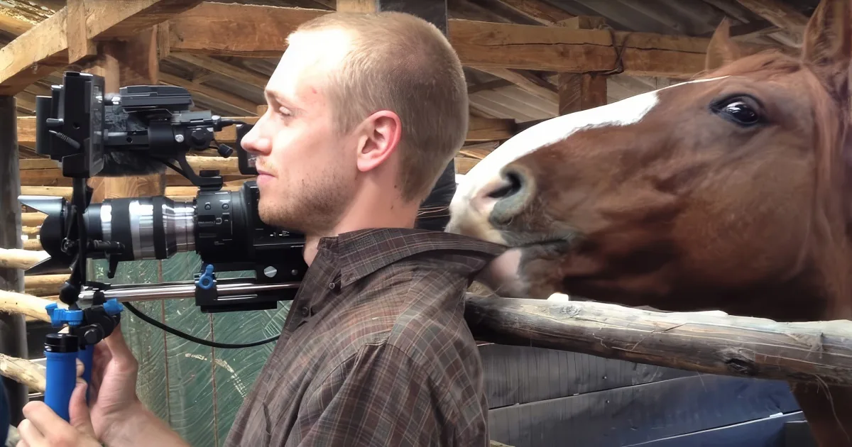 A man holds a camera, filming a brown horse in a wooden enclosure.