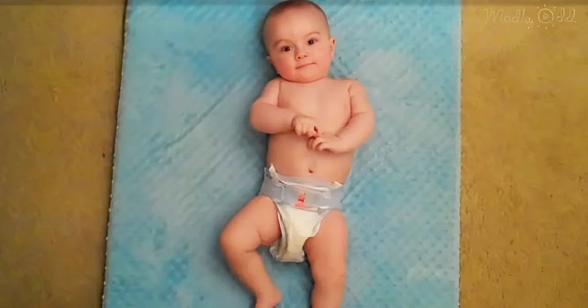 Baby Performs Vigorous ''Irish Jig'' to Traditional Folk Music and Everyone Is Applauding