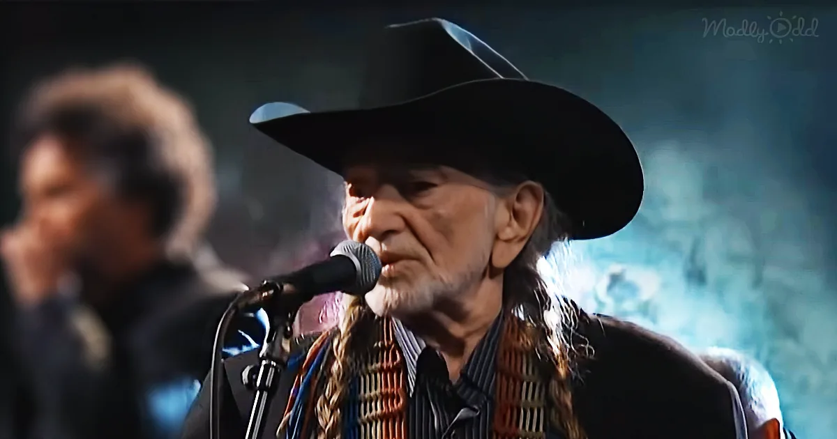 Willie Nelson Puts a Laid-Back Twist on Sinatra's 'Summer Wind' With a Sweet Texas Sound and It's Amazing