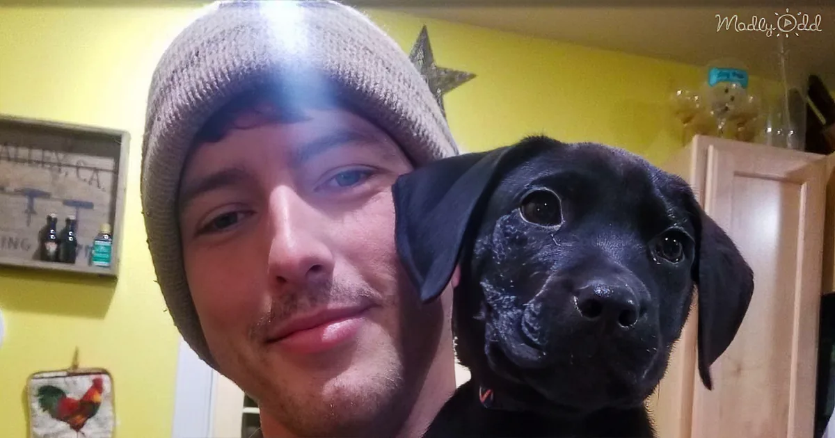 A man in a beanie and a black Labrador puppy are posing together in a kitchen with yellow walls and decor.