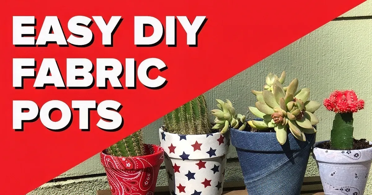 Fabric pots with stars and stripes, succulents, and cacti on a wooden shelf against a green wall.