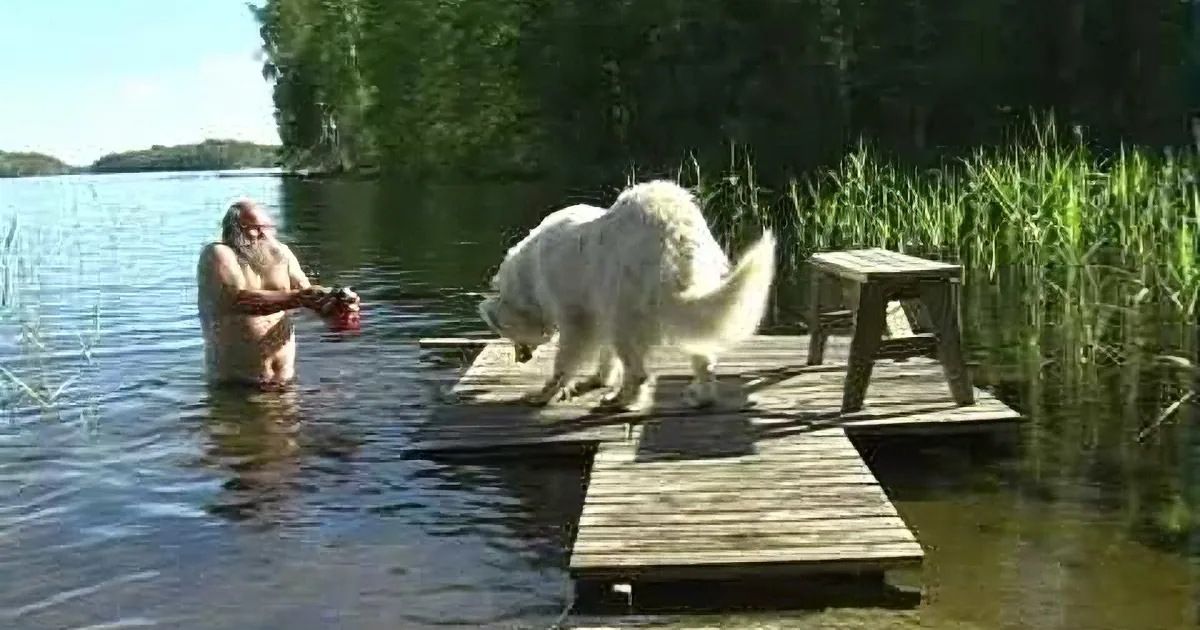A man in water holds a red object while a white dog stands on a dock beside him.