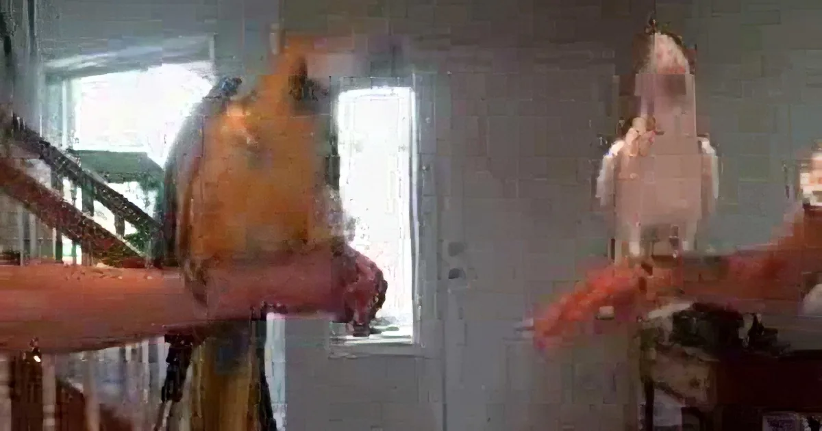 Two hands hold parrots, one orange and yellow, the other white, in a room with a door and railing.