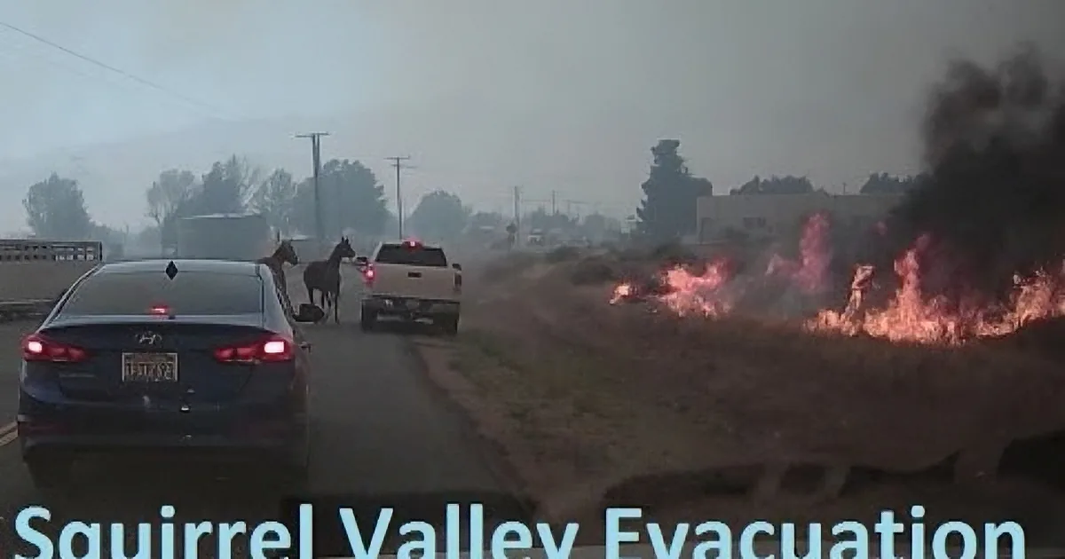 A car drives past a burning field with horses running, smoke rising, and a cloudy sky.