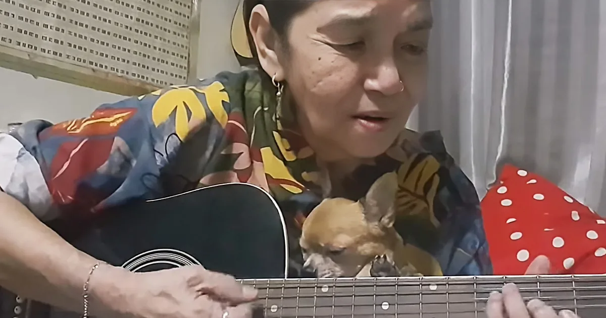 A person in a colorful shirt plays an acoustic guitar, with a small dog resting on their lap.