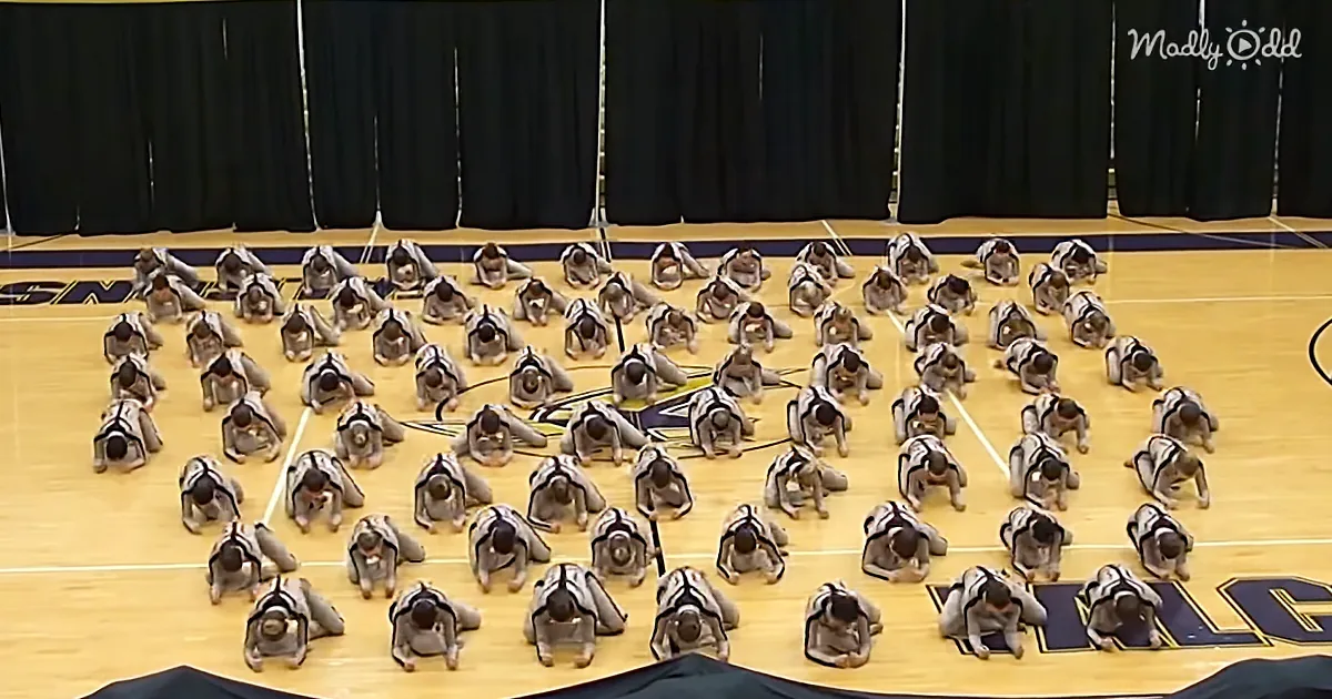 A group of people in a gym are performing a synchronized exercise in a crouched position.
