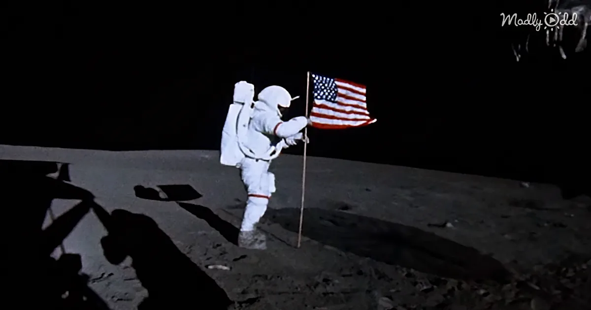 'Moments on the Moon You Haven't Seen (Spoiler: the Feather and Hammer Are the Coolest Part!)'