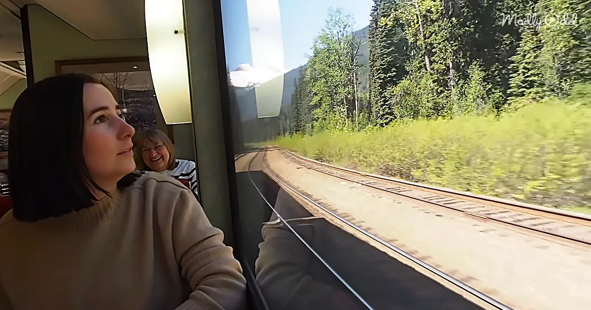 A woman in a train car looks out the window at a scenic view of greenery and train tracks.