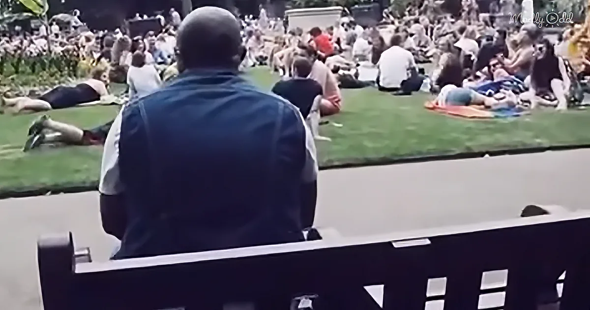 A man sits on a bench, observing a crowded park scene with people relaxing on the grass.
