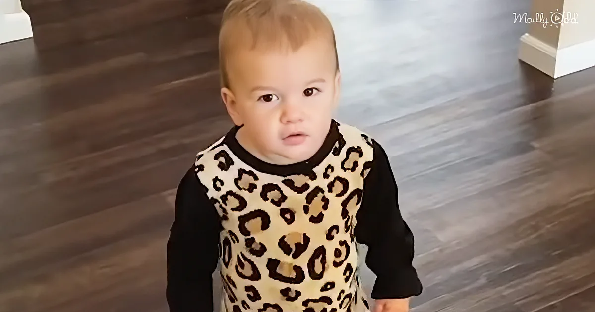 A baby wearing a leopard print bib and black sleeves stands on a wooden floor, looking up.