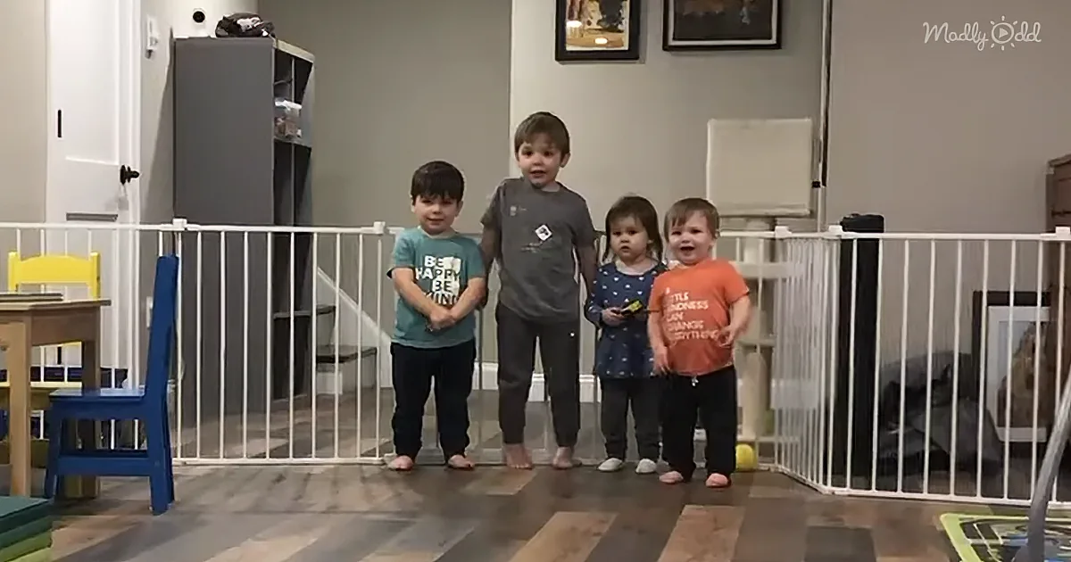 Kids & Family