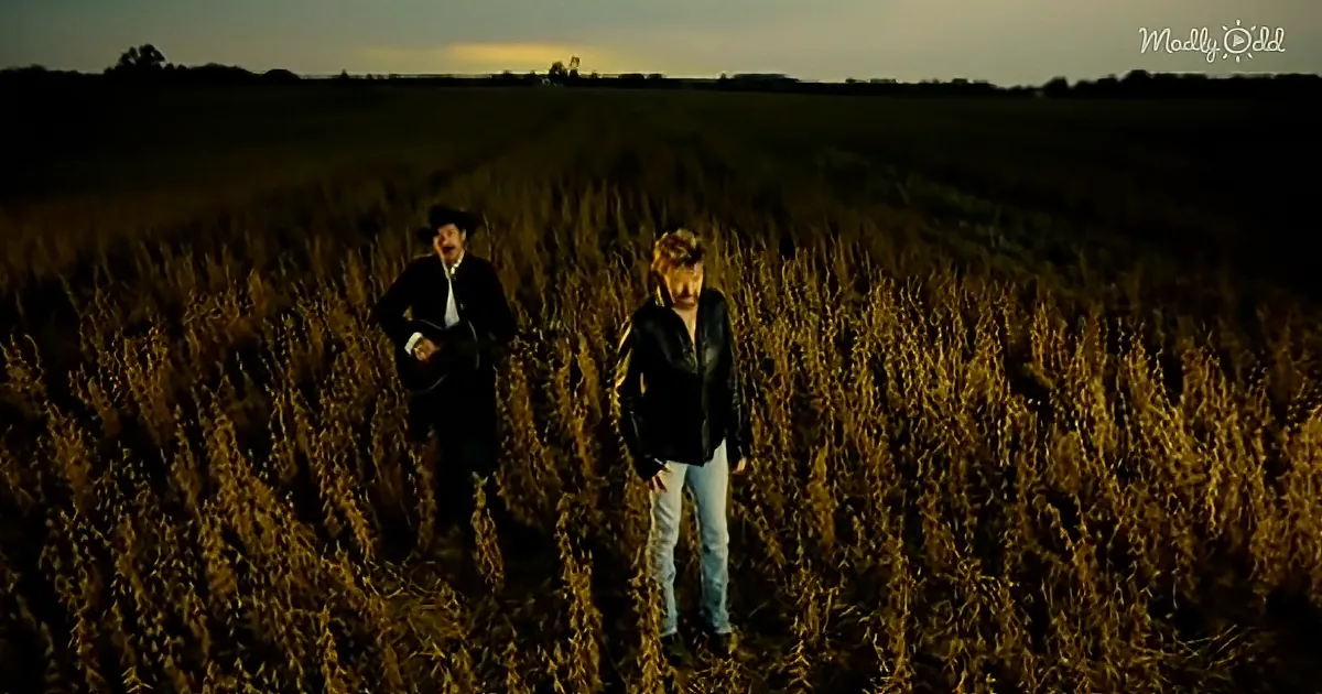 Two individuals in a field, one playing guitar, the other standing, under a dim sky.