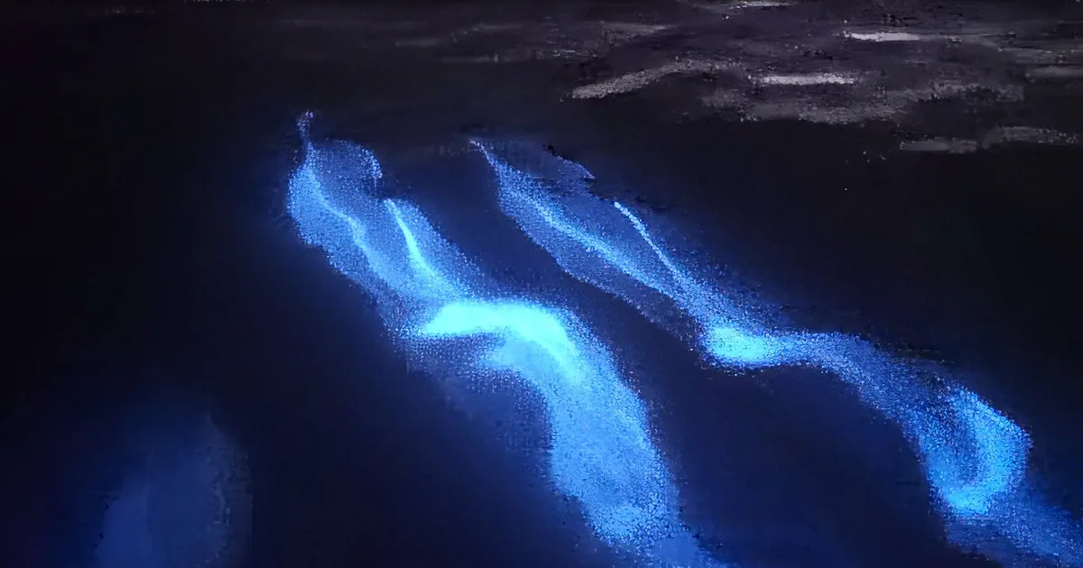 Blue glowing waves in dark water, resembling bioluminescent organisms.