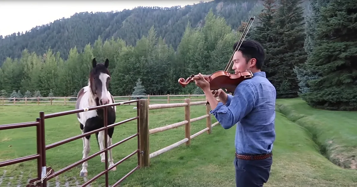 This Headbanging Horse Will Have You Bobbing Along to Violin