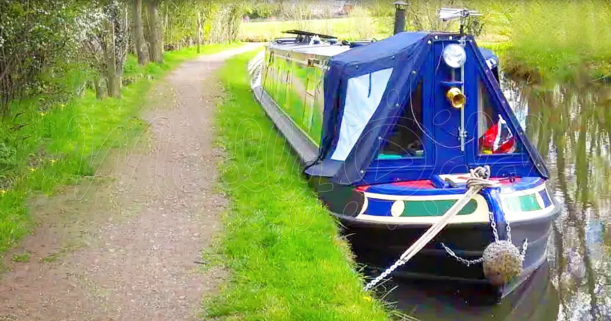TV Journalist Quits Promising Job to Live on a Tiny House Boat Full-Time