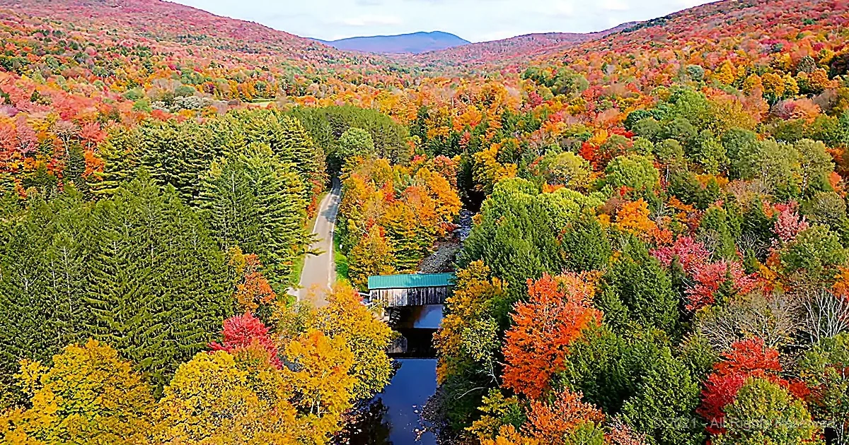 A vibrant autumn landscape with colorful trees, a winding road, and a covered bridge over a river.