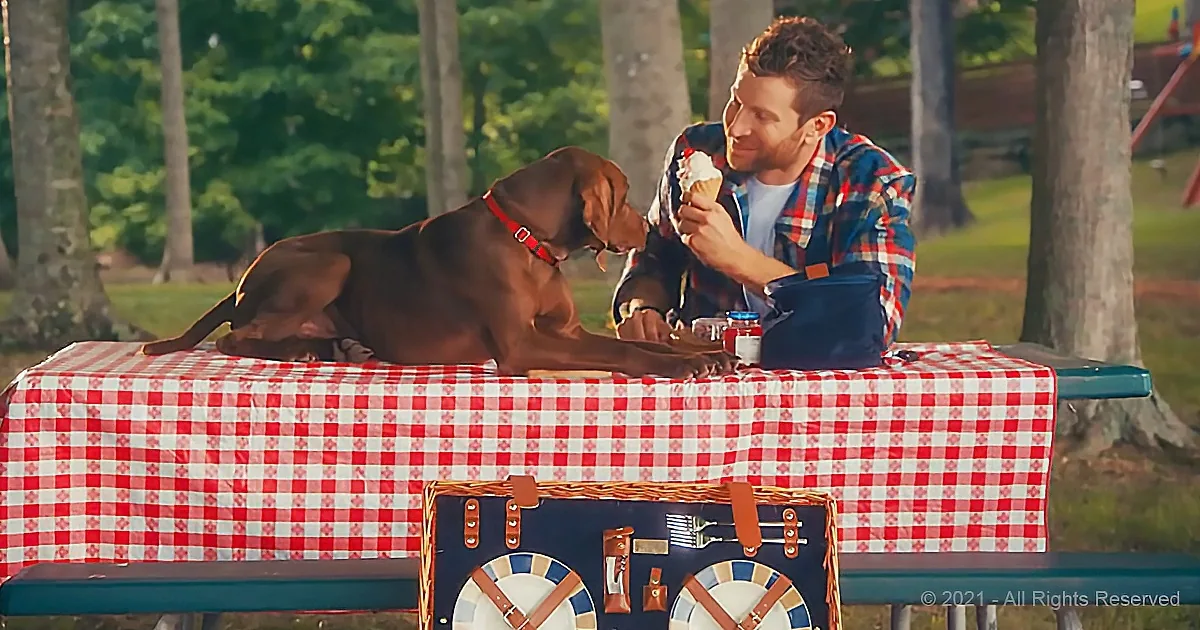 A man and a dog share a picnic, with the man eating ice cream and the dog resting on the table.
