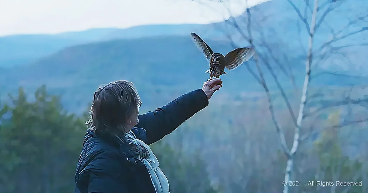 A person extends their arm to release an owl into the air, set against a scenic backdrop of hills and trees.